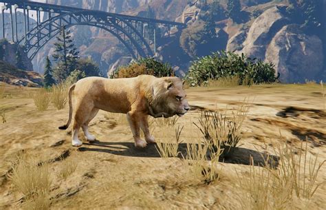 lyon gta 5|Iba pa.